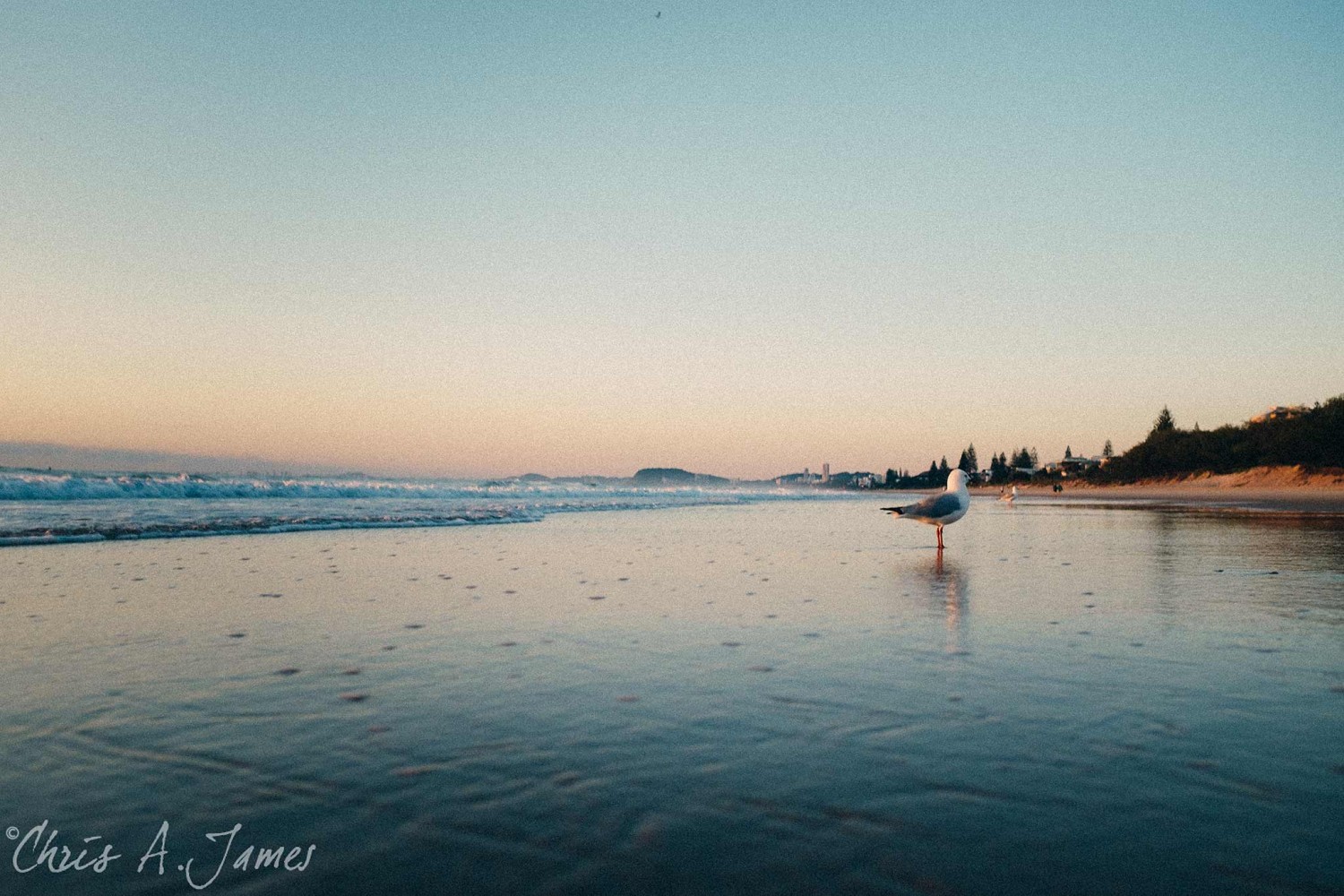 Gold Coast - Chris A James