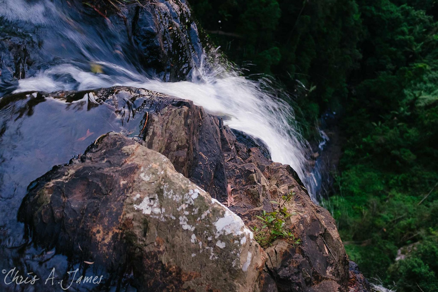 Gold Coast - Chris A James