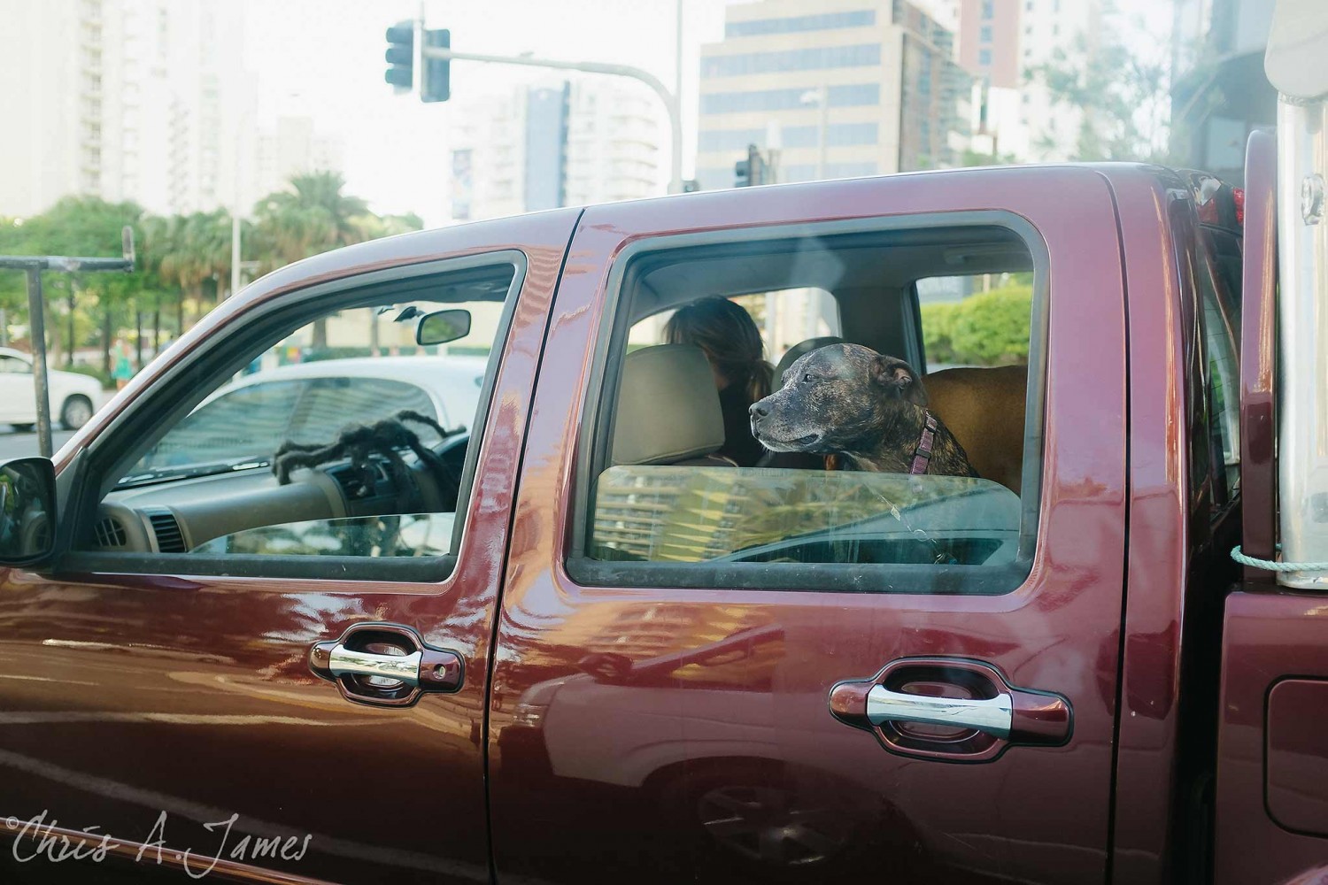 Gold Coast - Chris A James