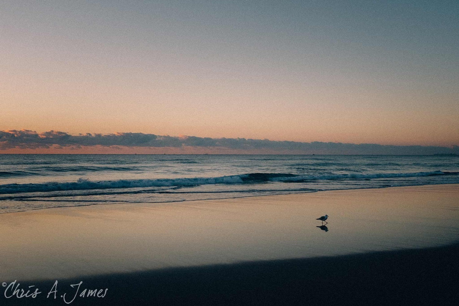 Gold Coast - Chris A James