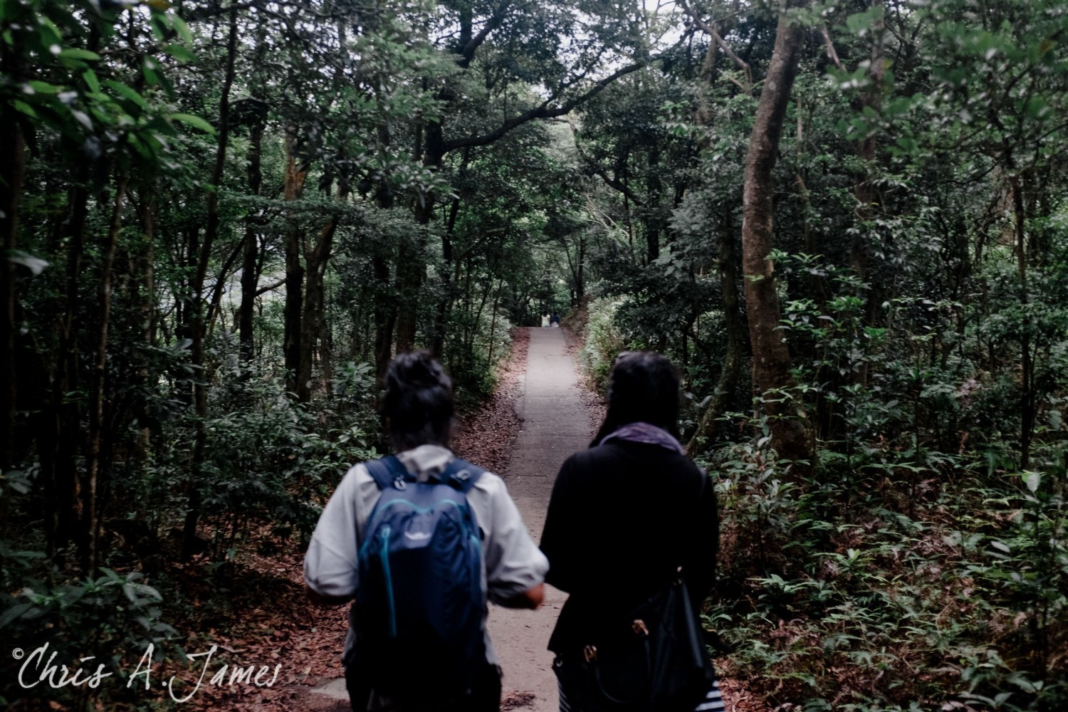 Hong Kong - Chris A James