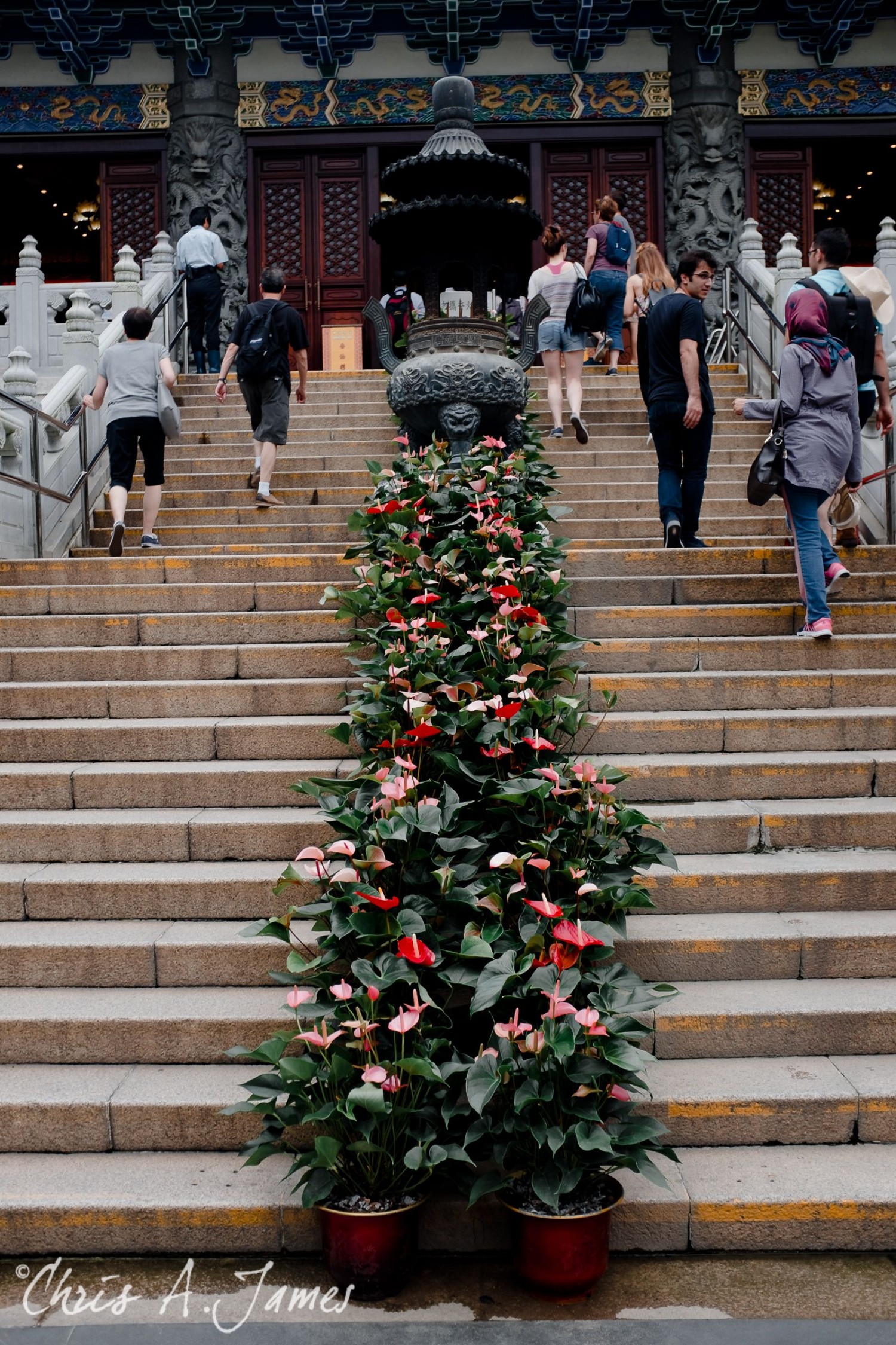 Hong Kong - Chris A James