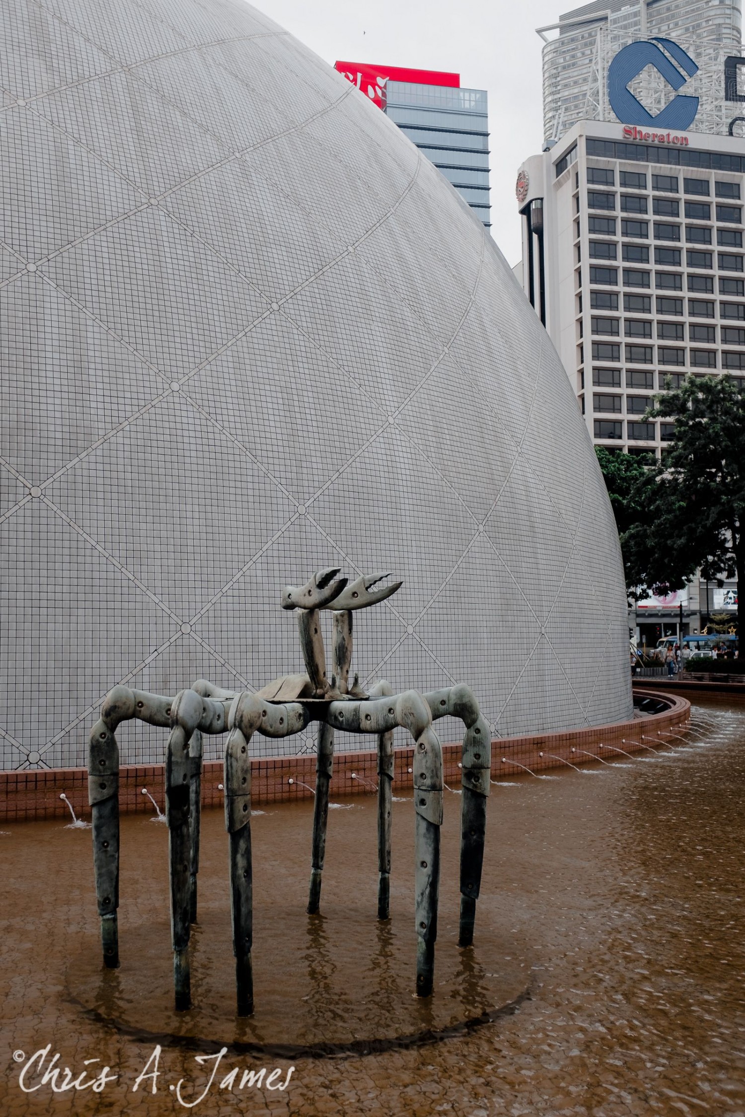 Hong Kong - Chris A James