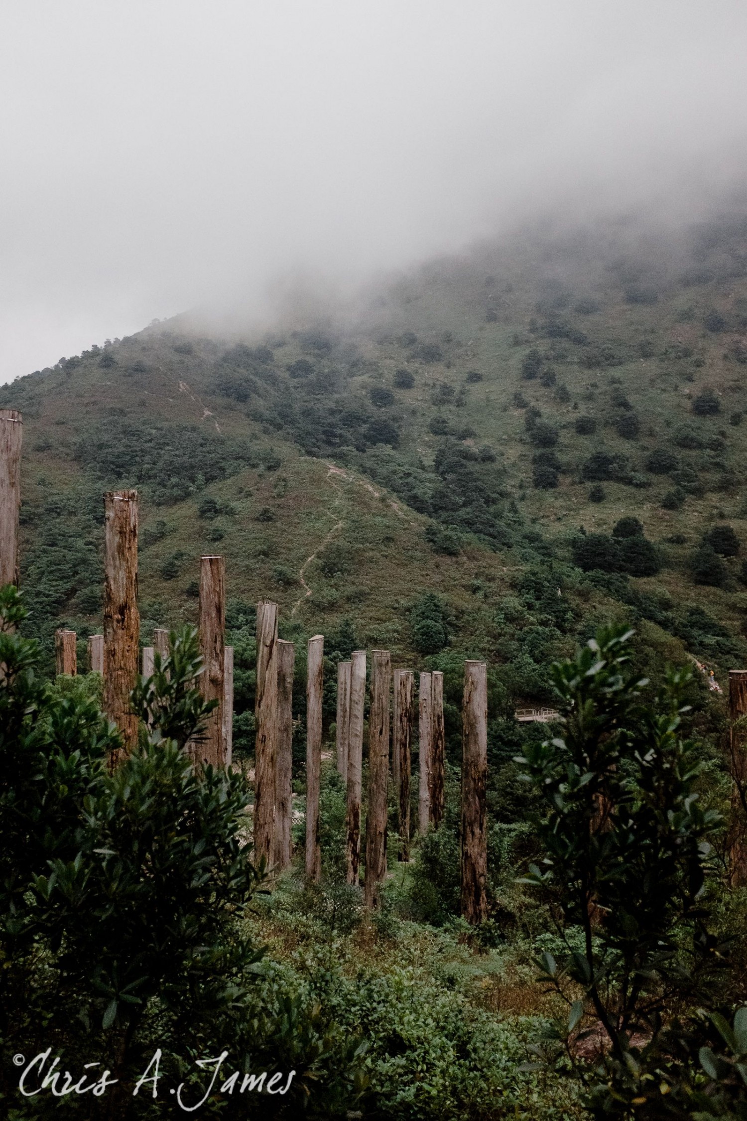 Hong Kong - Chris A James
