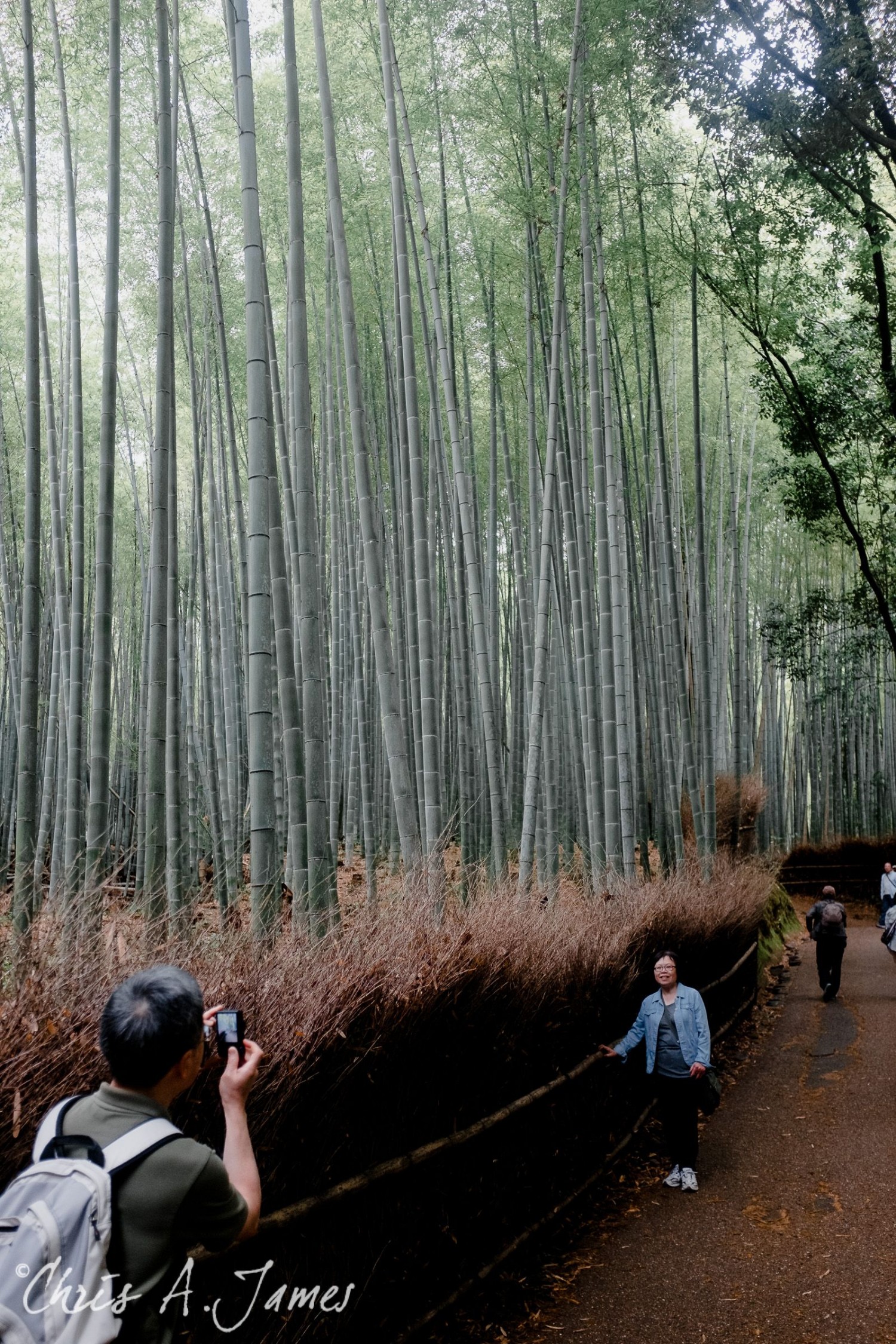Fushimi Inari Shrine - Chris A James