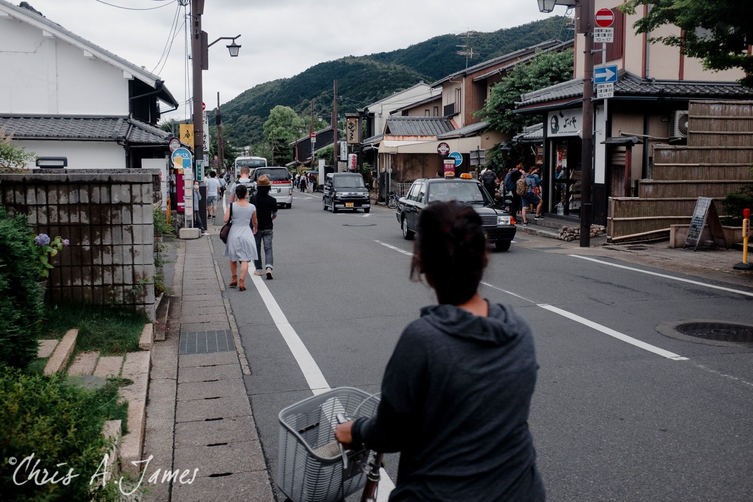 Fushimi Inari Shrine - Chris A James