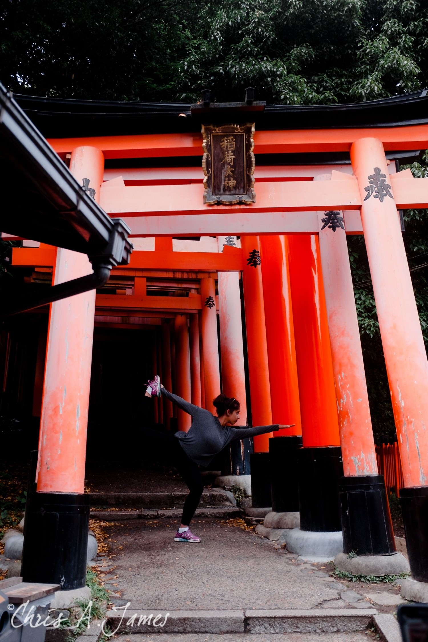 Fushimi Inari Shrine - Chris A James