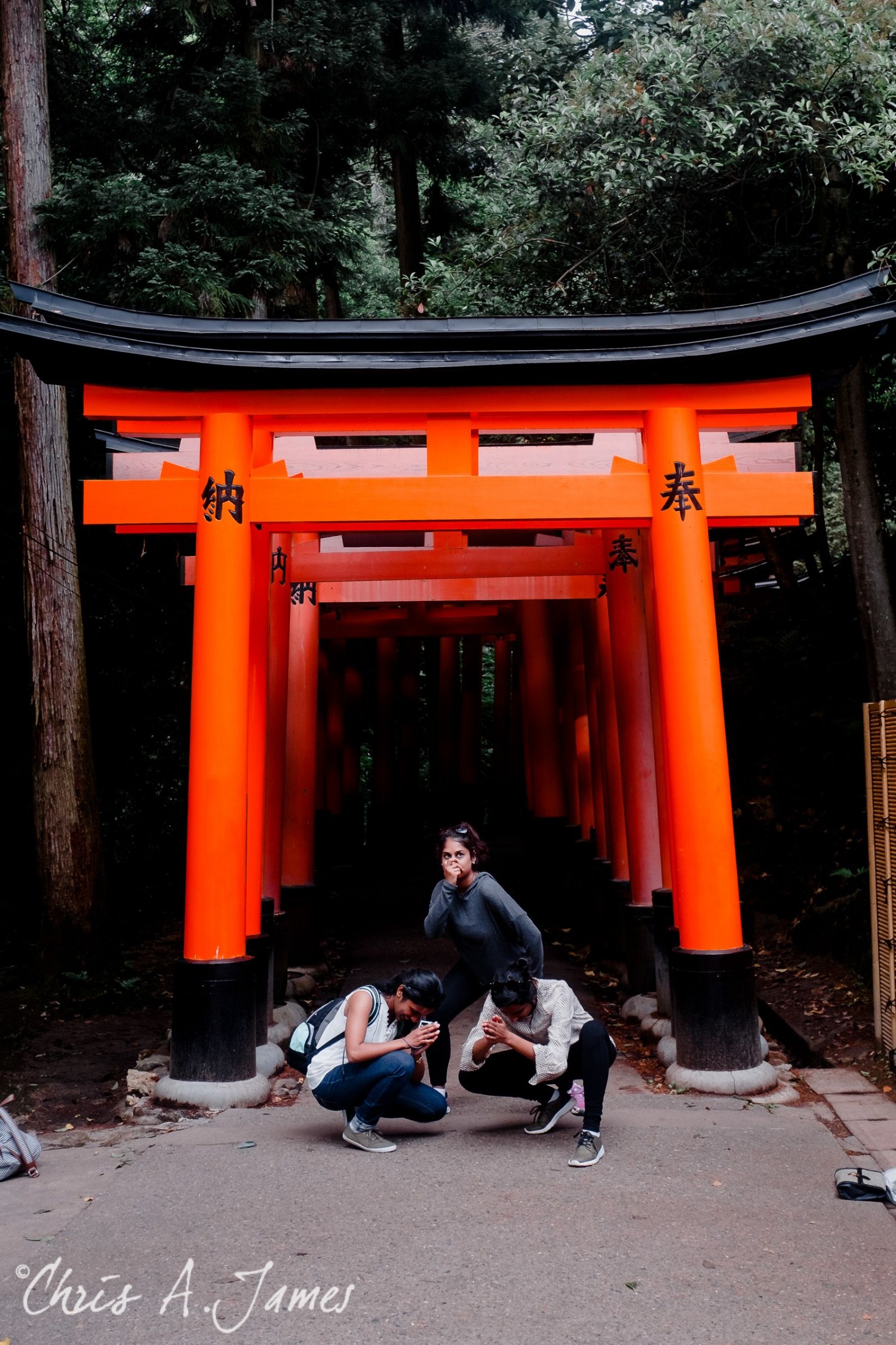 Fushimi Inari Shrine - Chris A James