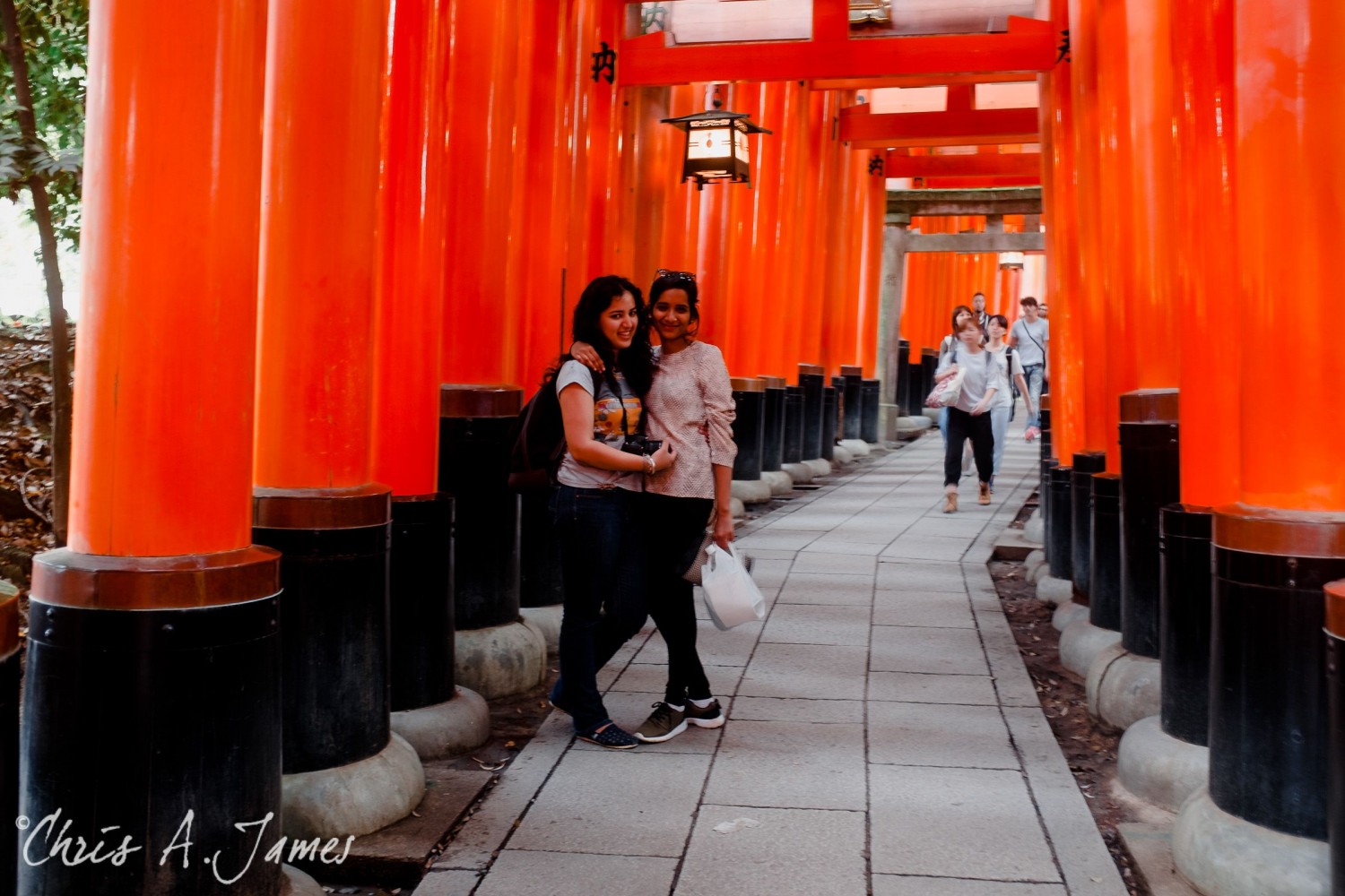 Fushimi Inari Shrine - Chris A James