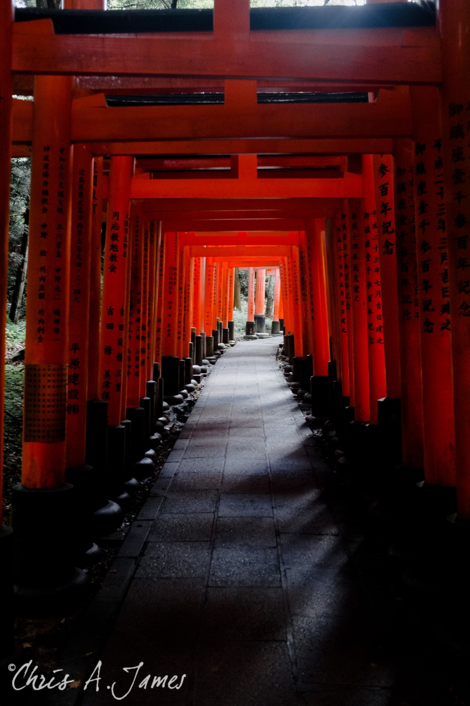 Fushimi Inari Shrine - Chris A James