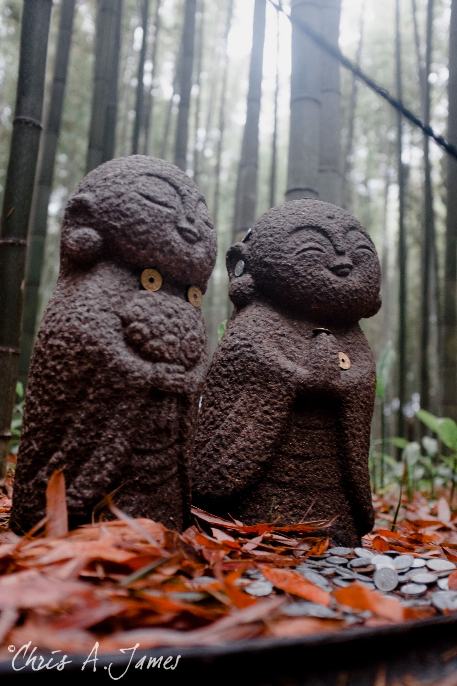 Fushimi Inari Shrine - Chris A James