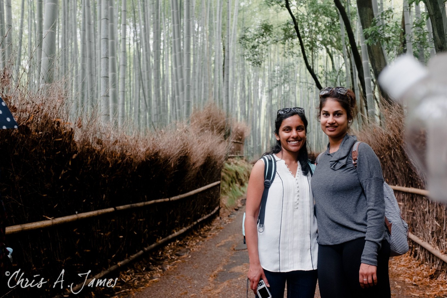 Fushimi Inari Shrine - Chris A James