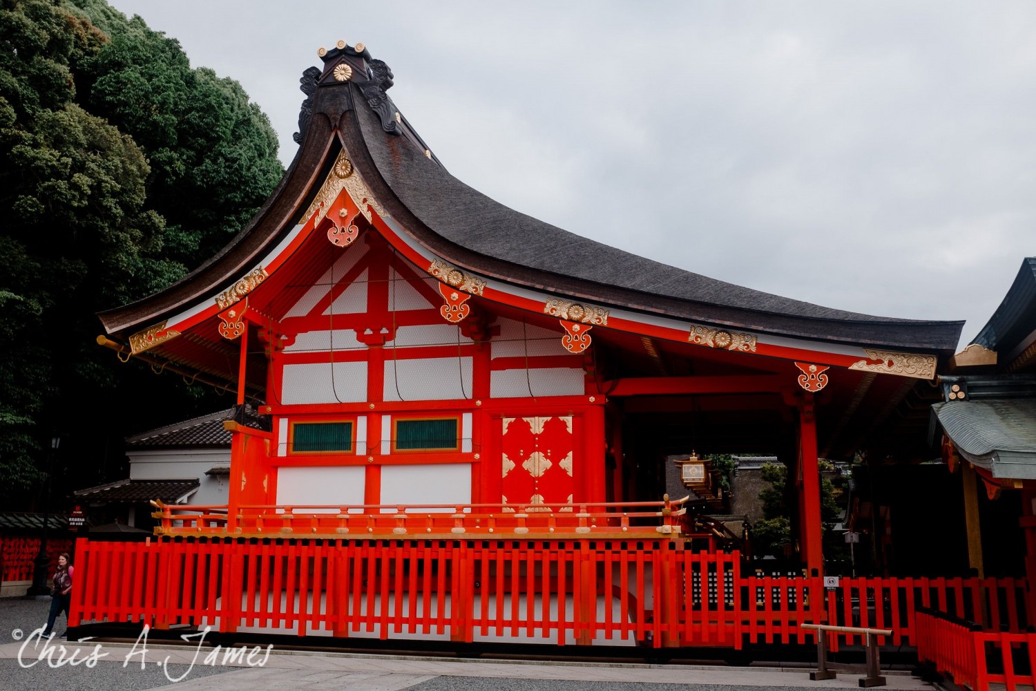Fushimi Inari Shrine - Chris A James