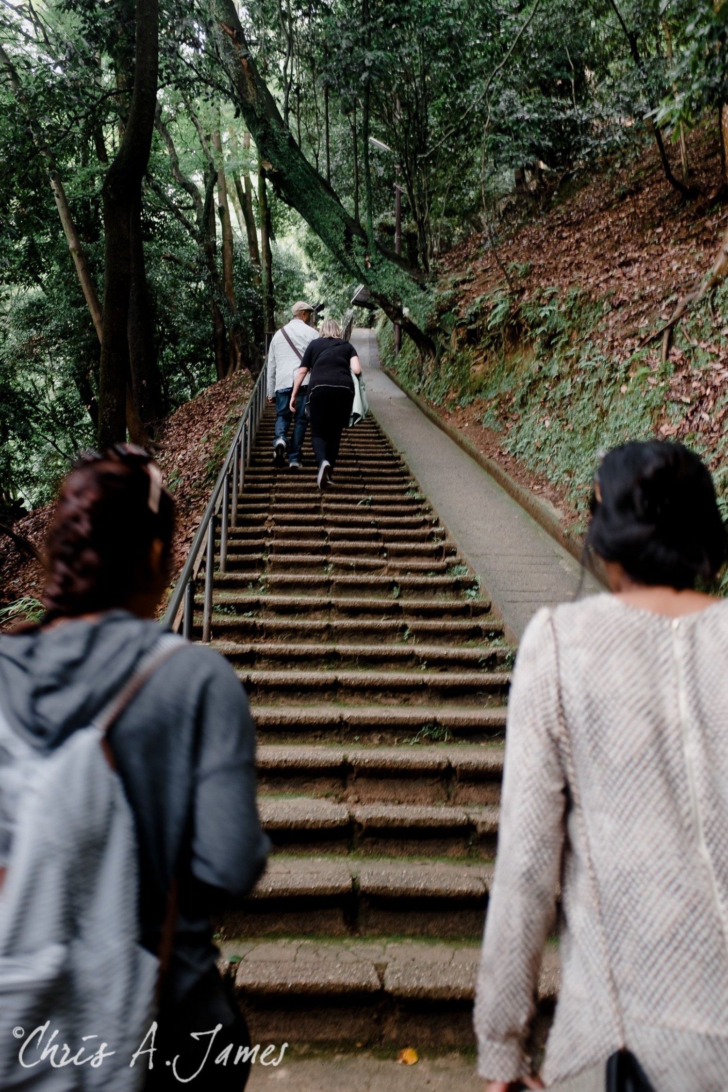 Fushimi Inari Shrine - Chris A James