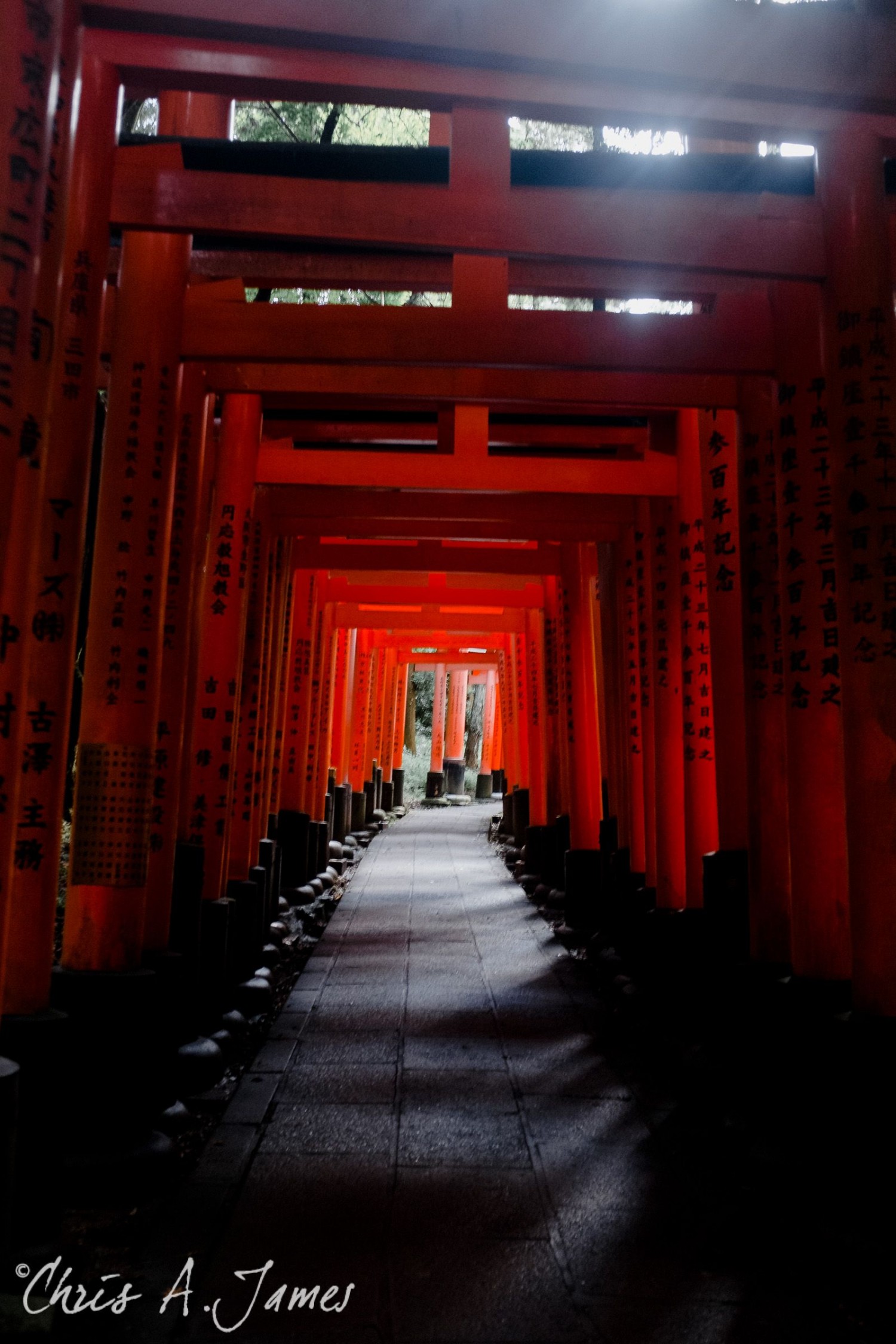 Fushimi Inari Shrine - Chris A James
