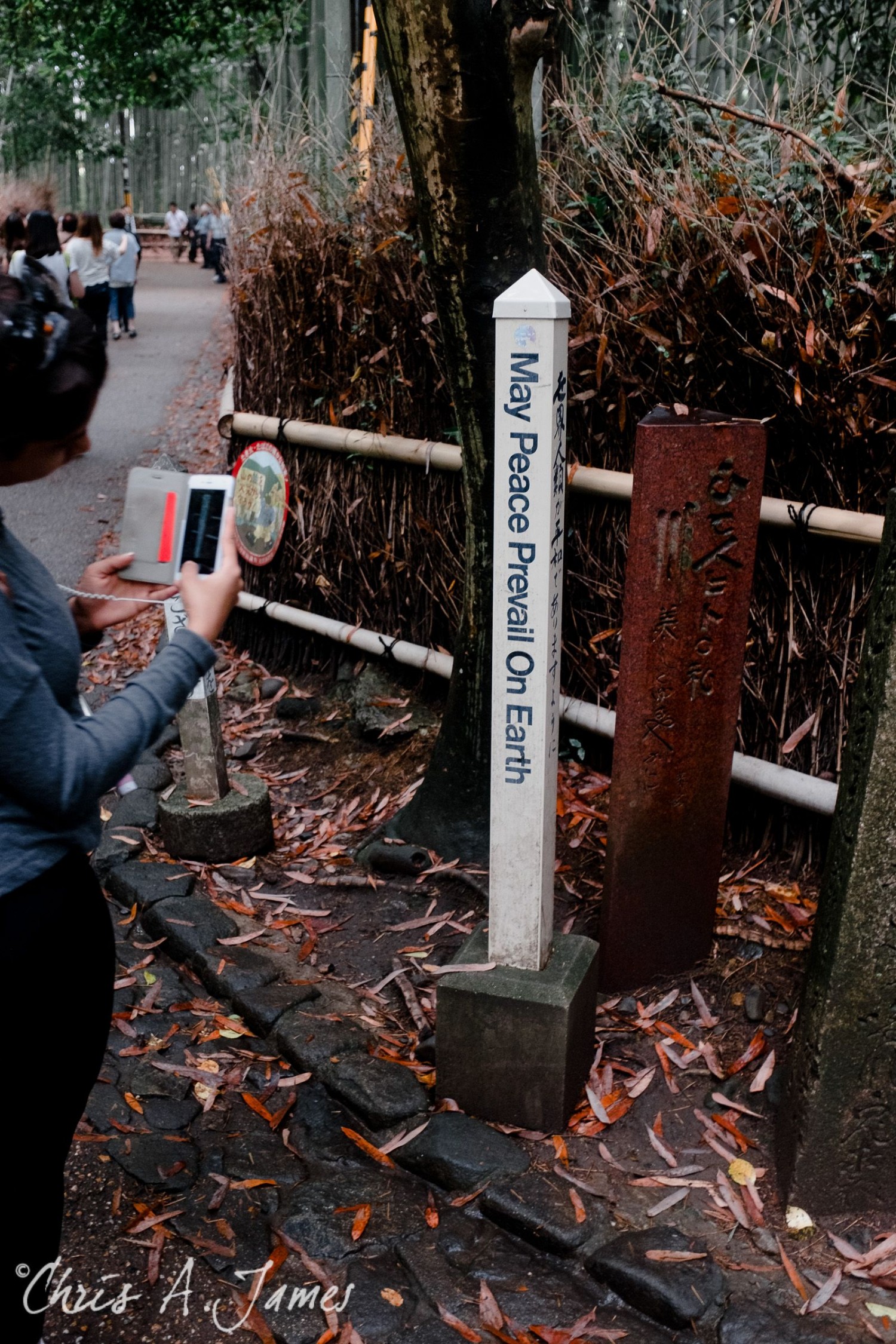Fushimi Inari Shrine - Chris A James