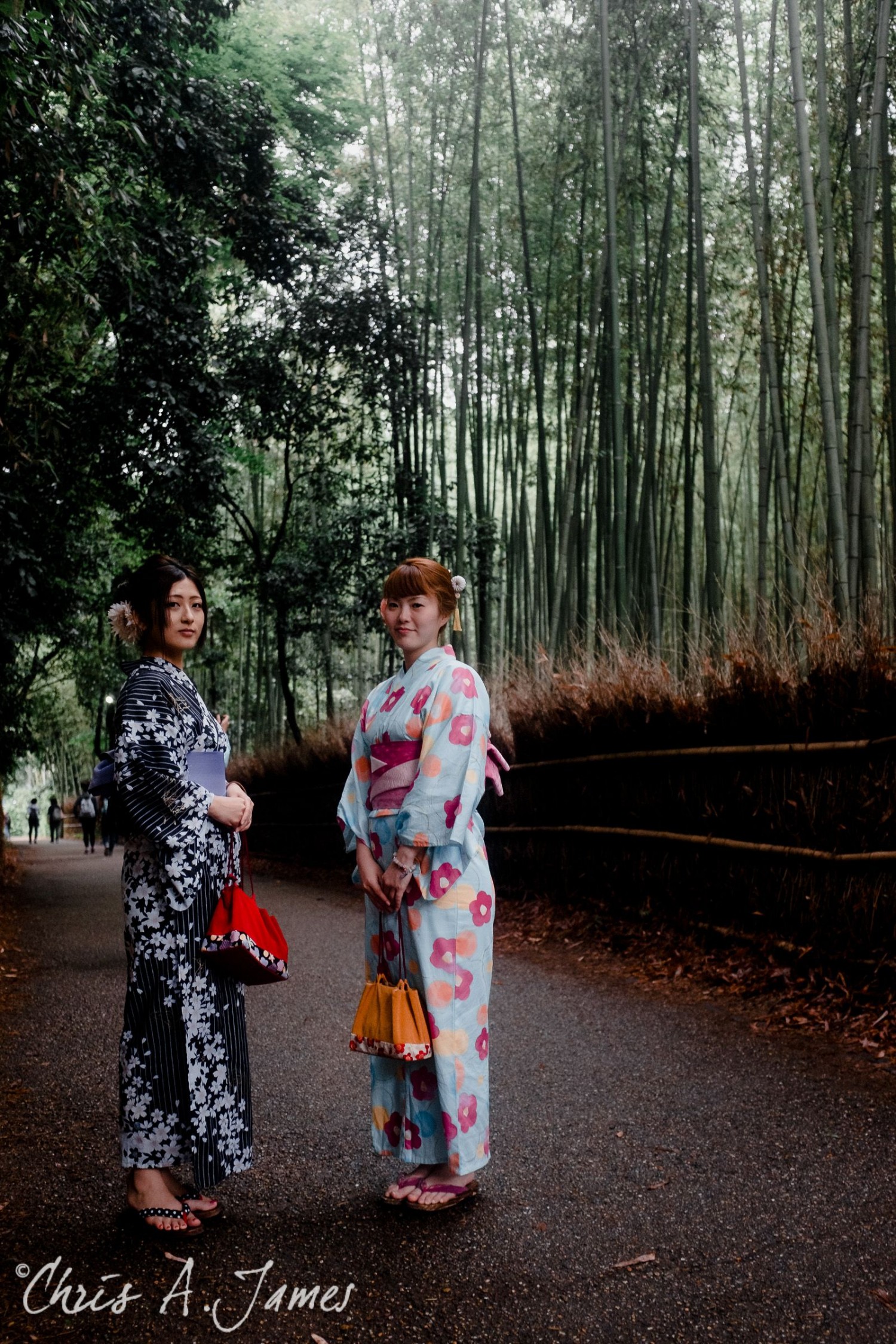 Fushimi Inari Shrine - Chris A James