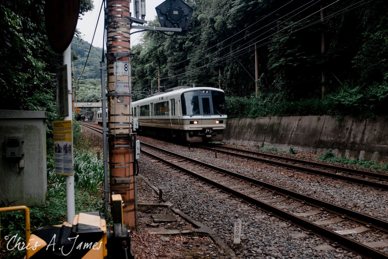 Fushimi Inari Shrine - Chris A James