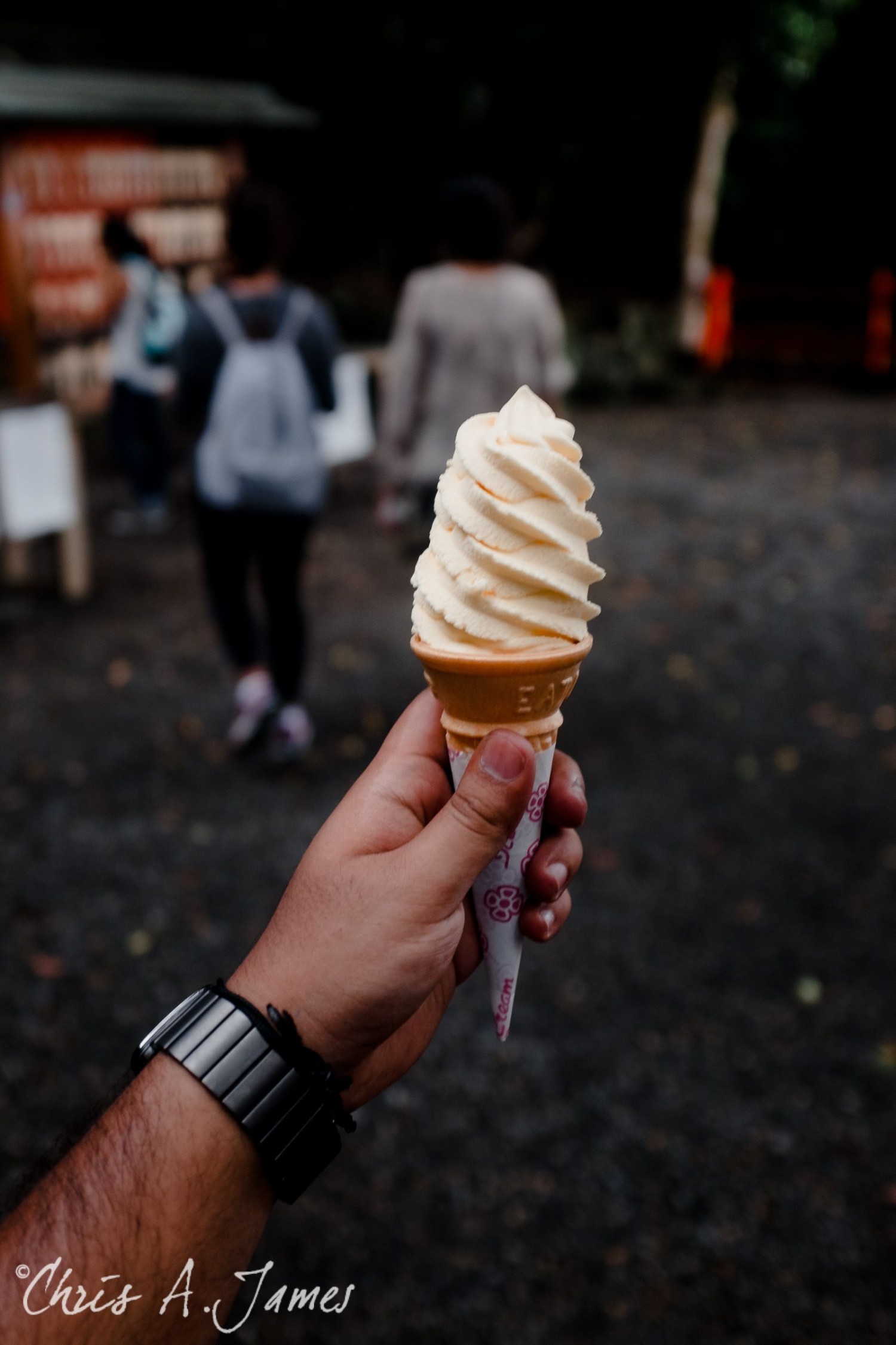 Fushimi Inari Shrine - Chris A James