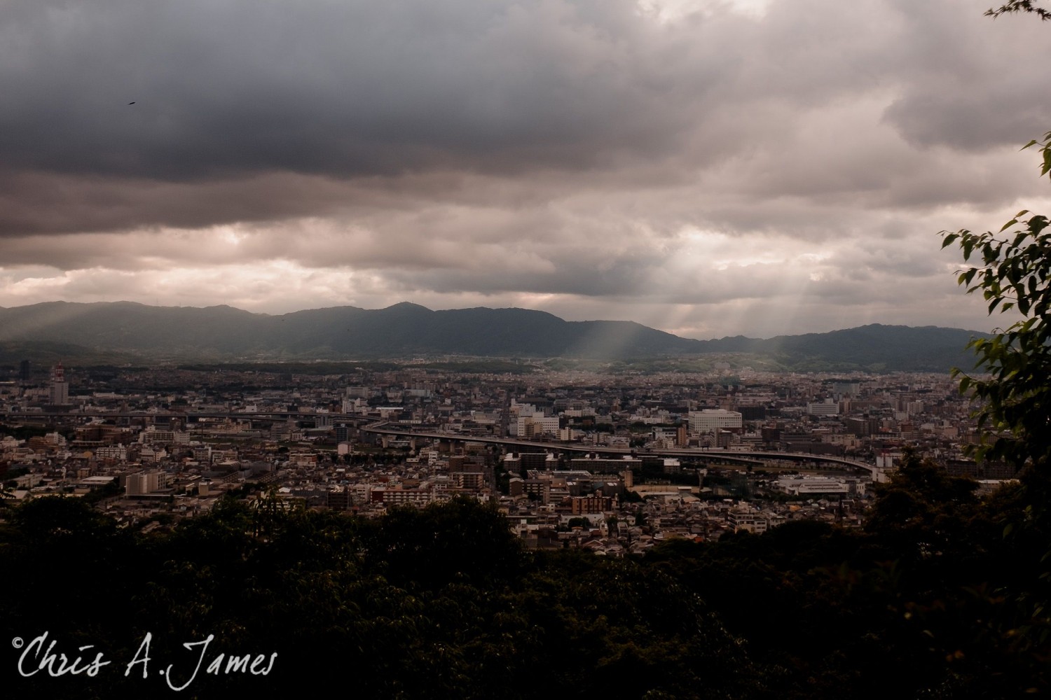 Fushimi Inari Shrine - Chris A James