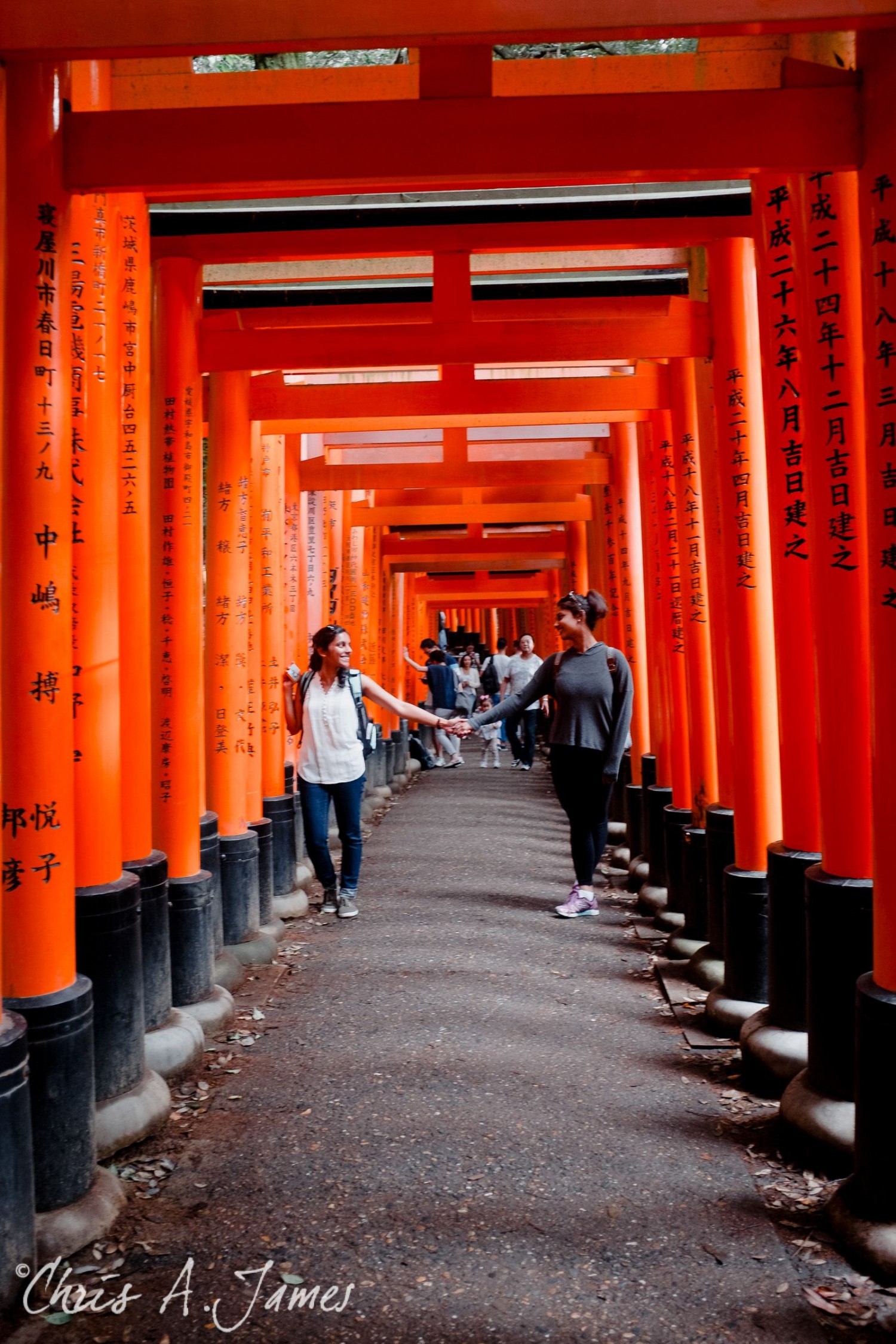 Fushimi Inari Shrine - Chris A James