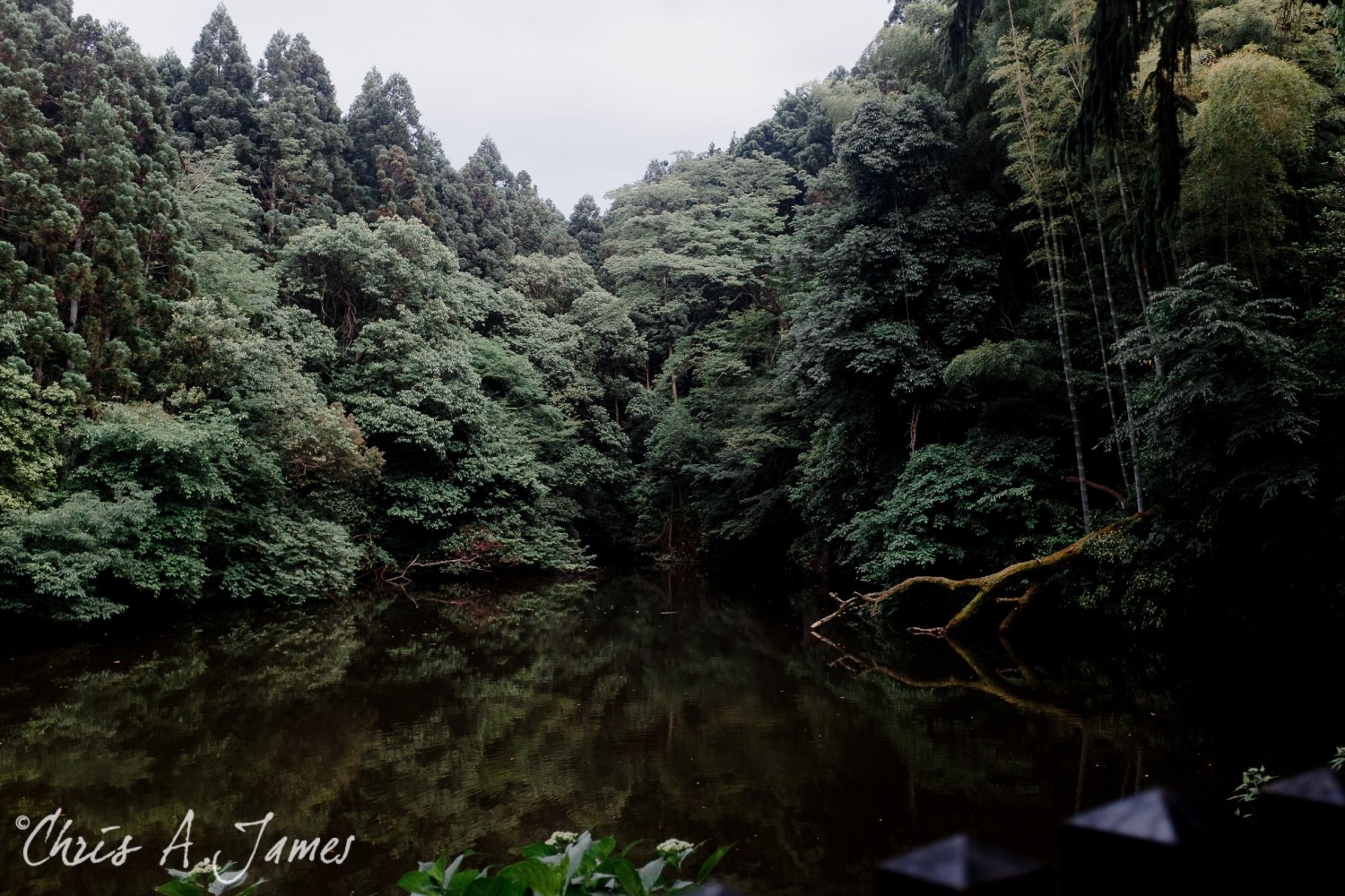 Fushimi Inari Shrine - Chris A James
