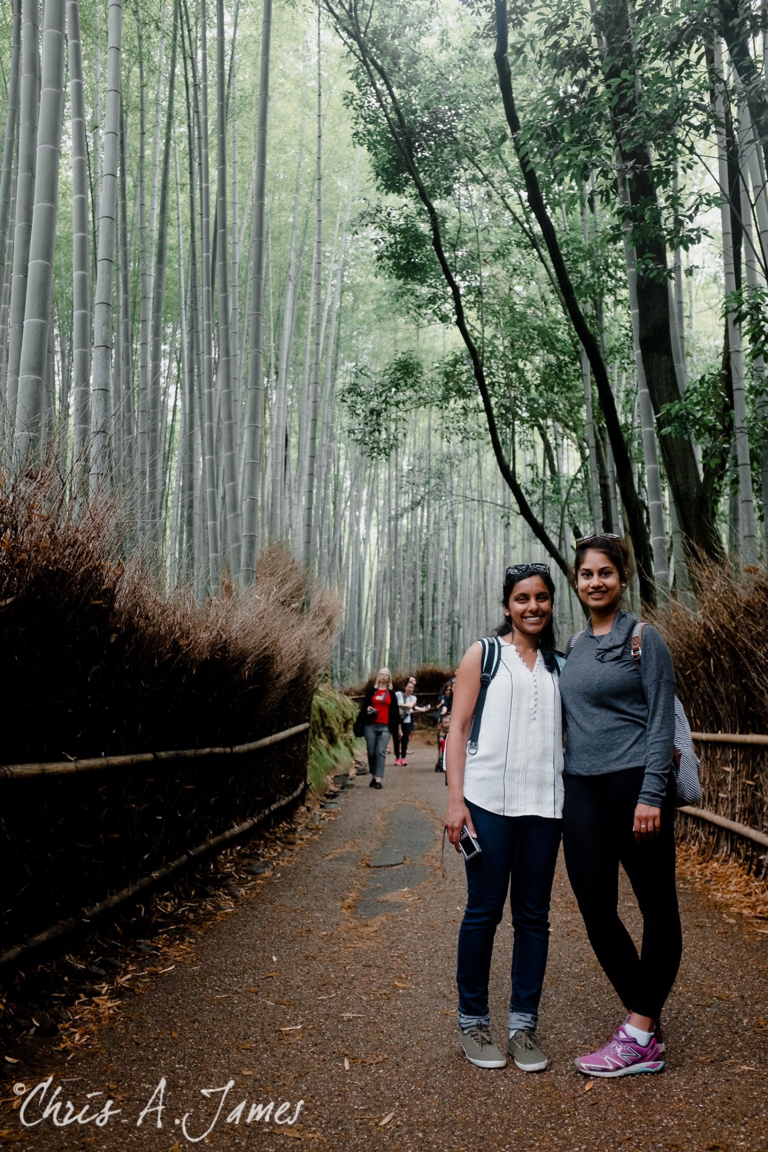 Fushimi Inari Shrine - Chris A James