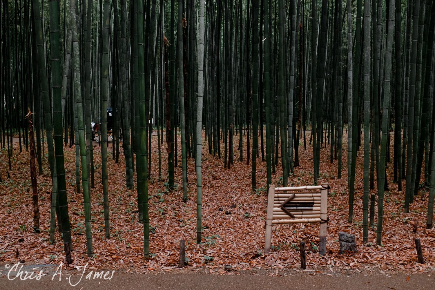 Fushimi Inari Shrine - Chris A James
