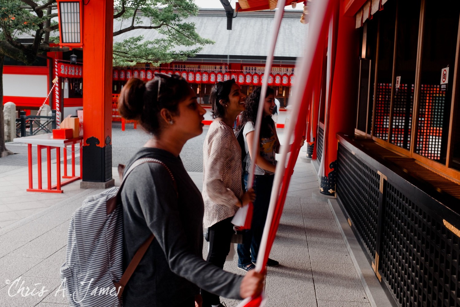 Fushimi Inari Shrine - Chris A James