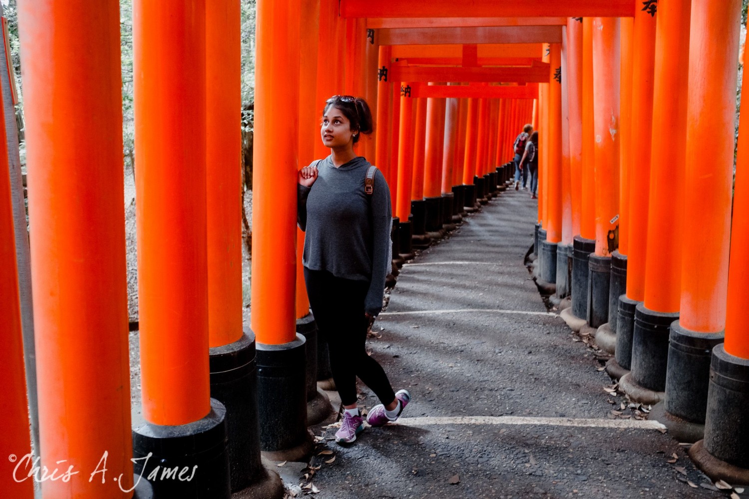 Fushimi Inari Shrine - Chris A James