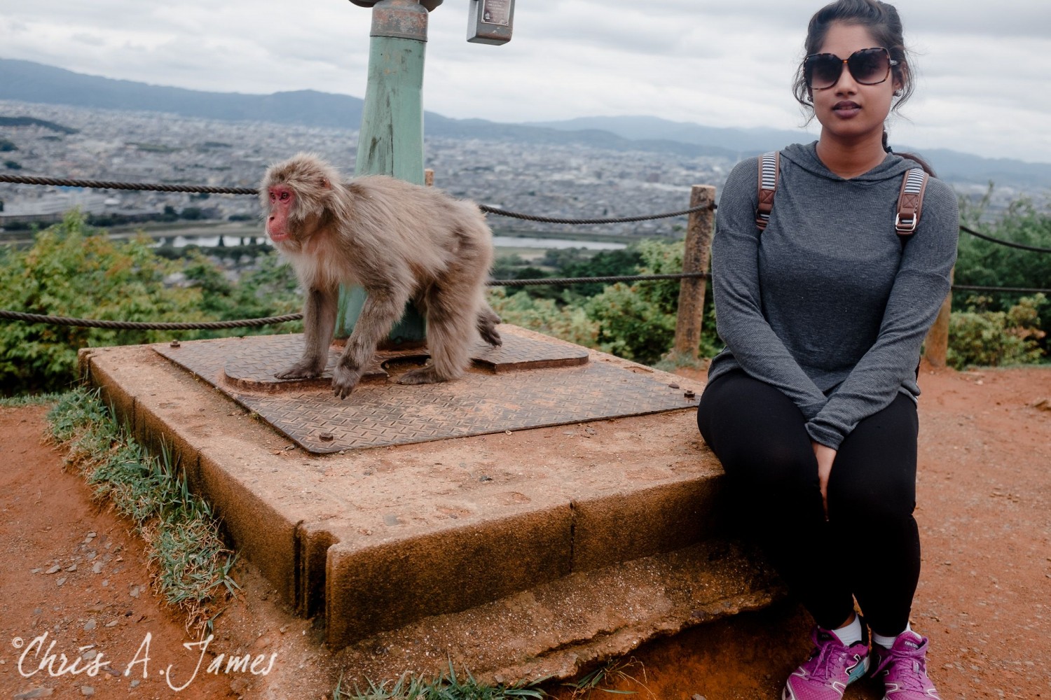 Fushimi Inari Shrine - Chris A James