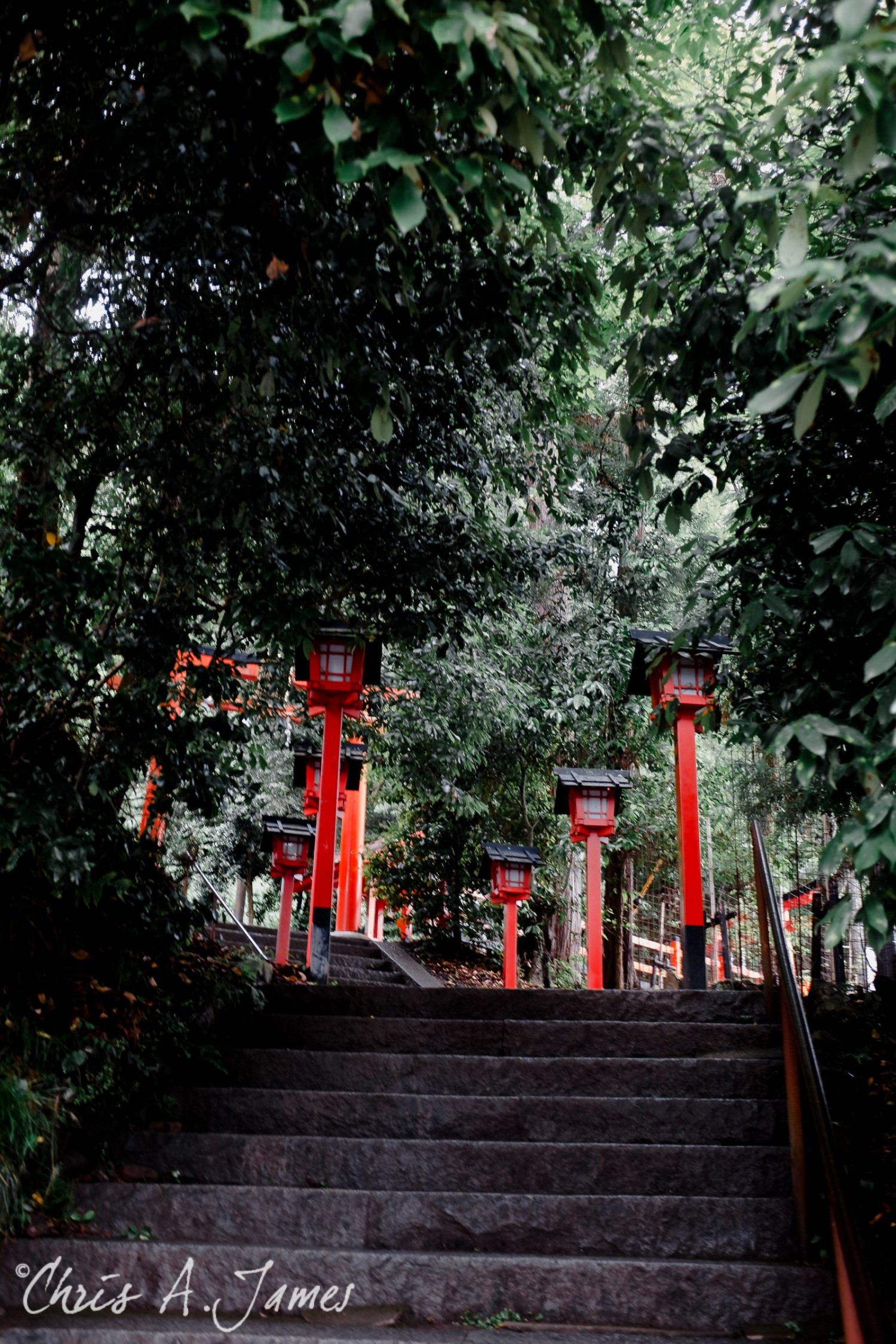 Fushimi Inari Shrine - Chris A James