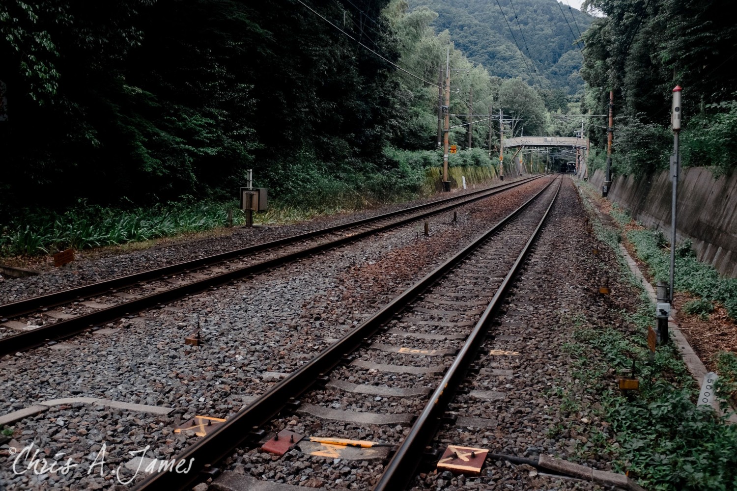 Fushimi Inari Shrine - Chris A James