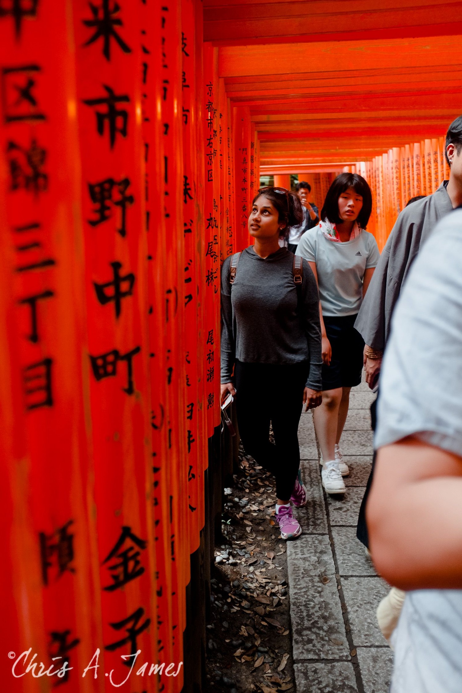 Fushimi Inari Shrine - Chris A James