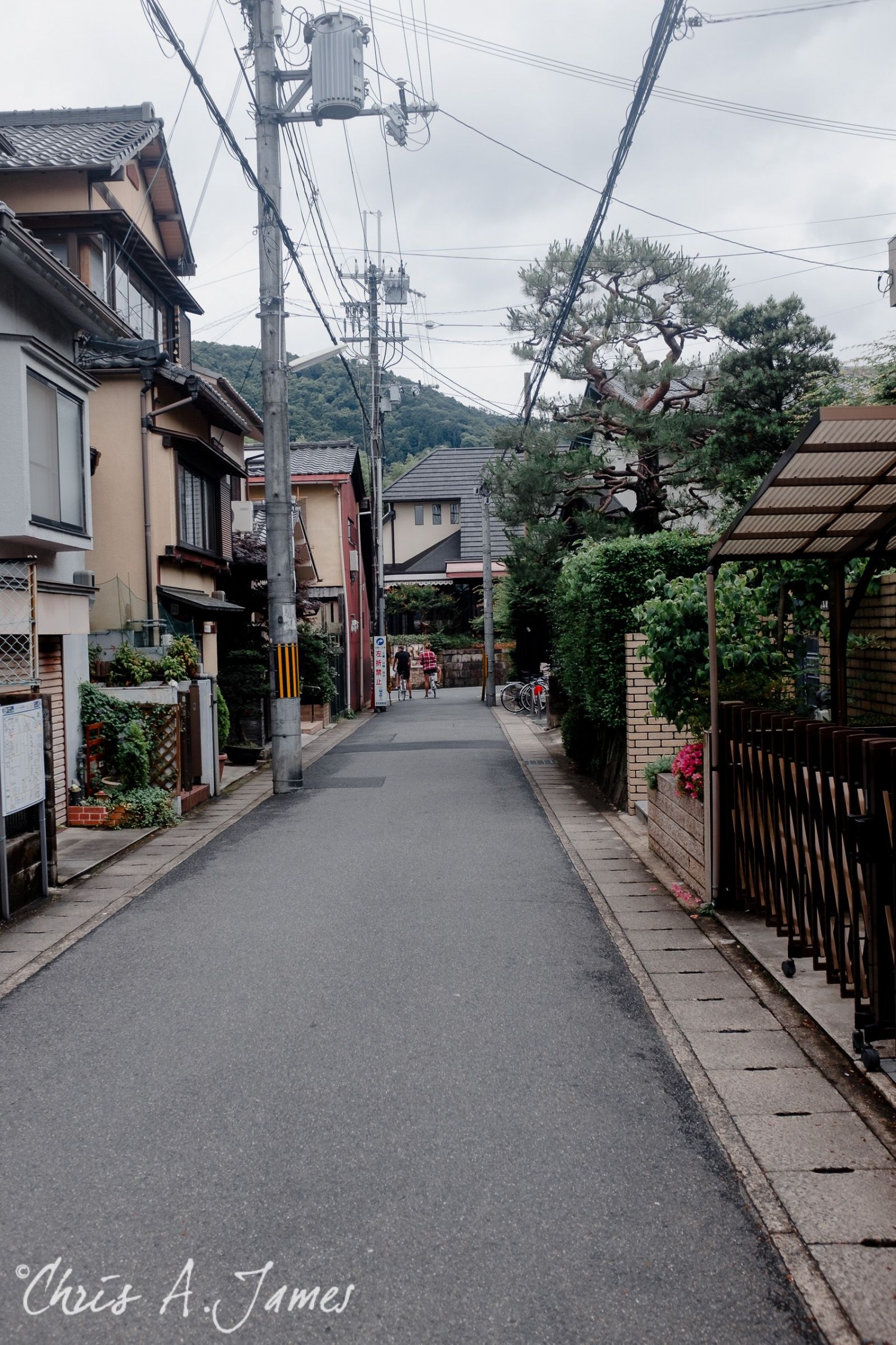 Fushimi Inari Shrine - Chris A James
