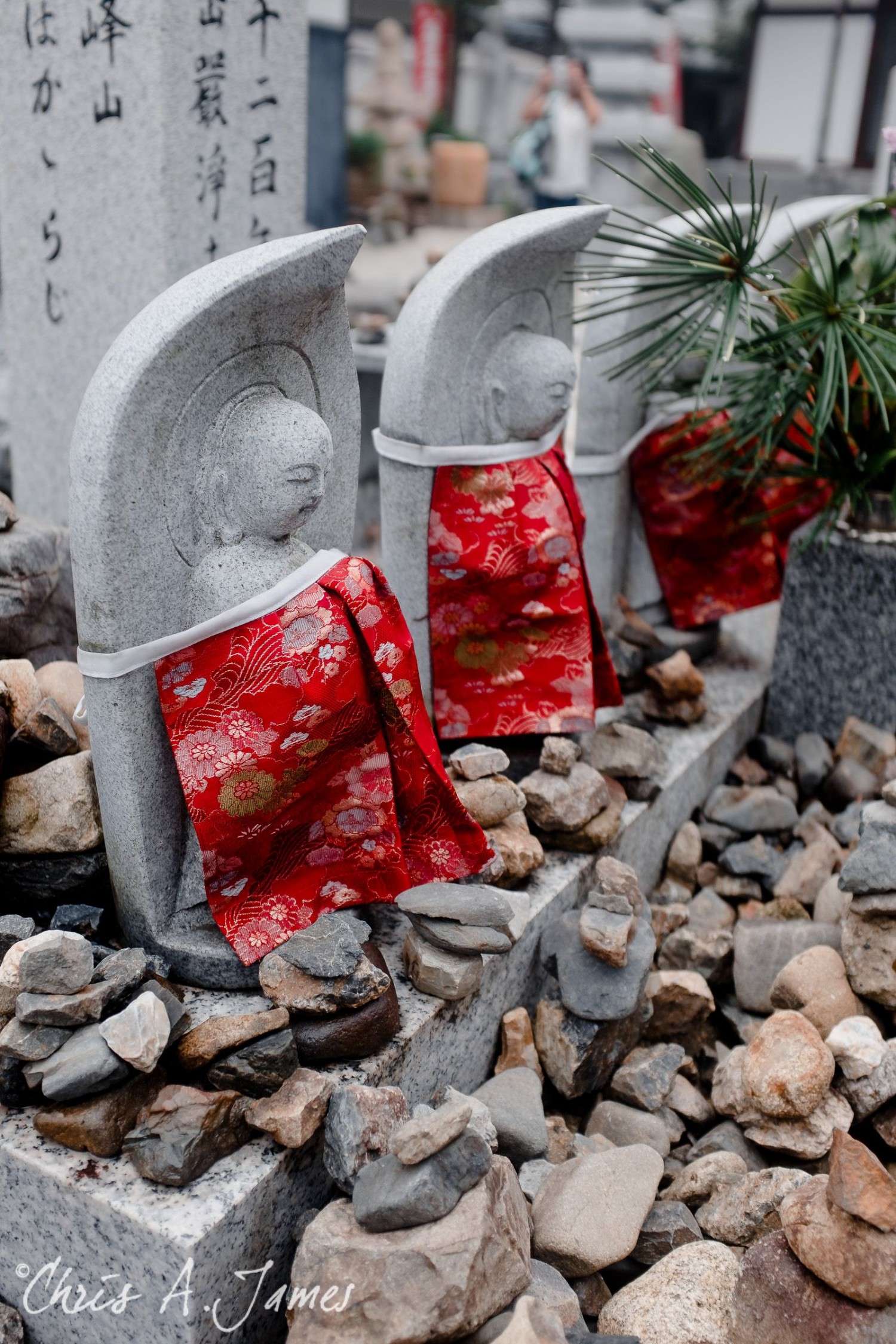 Fushimi Inari Shrine - Chris A James