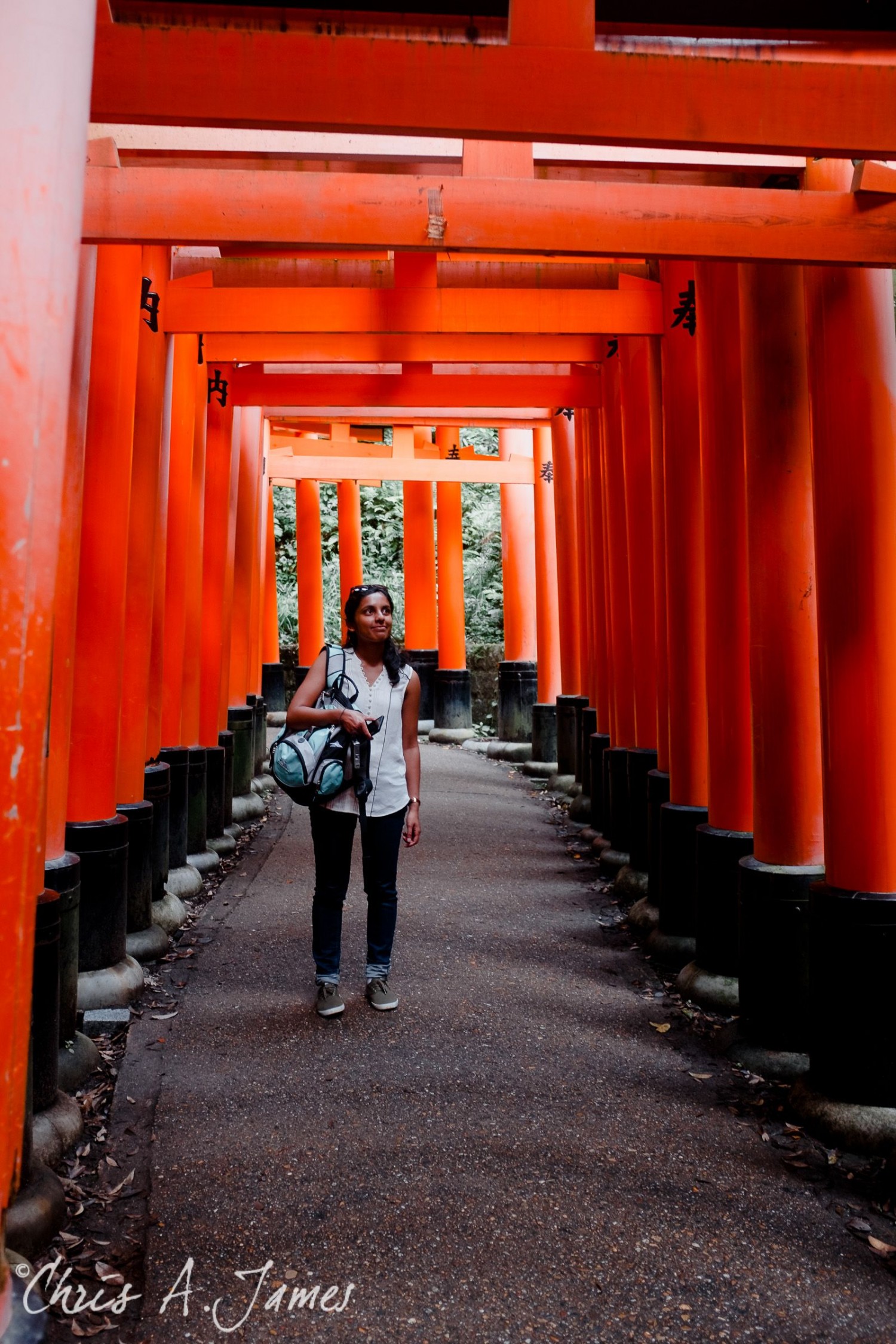 Fushimi Inari Shrine - Chris A James