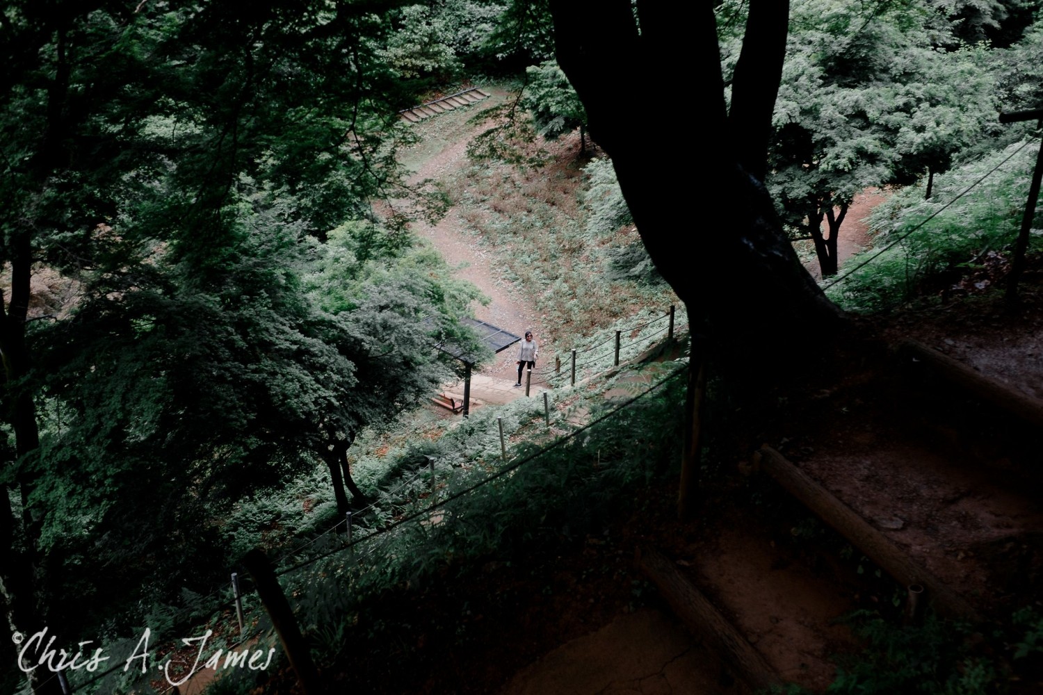 Fushimi Inari Shrine - Chris A James