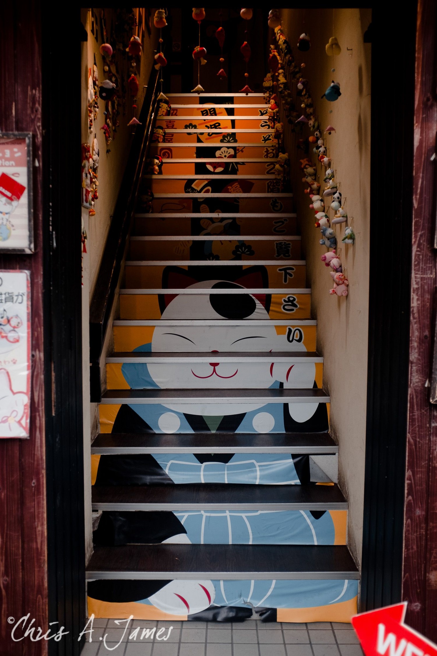 Fushimi Inari Shrine - Chris A James