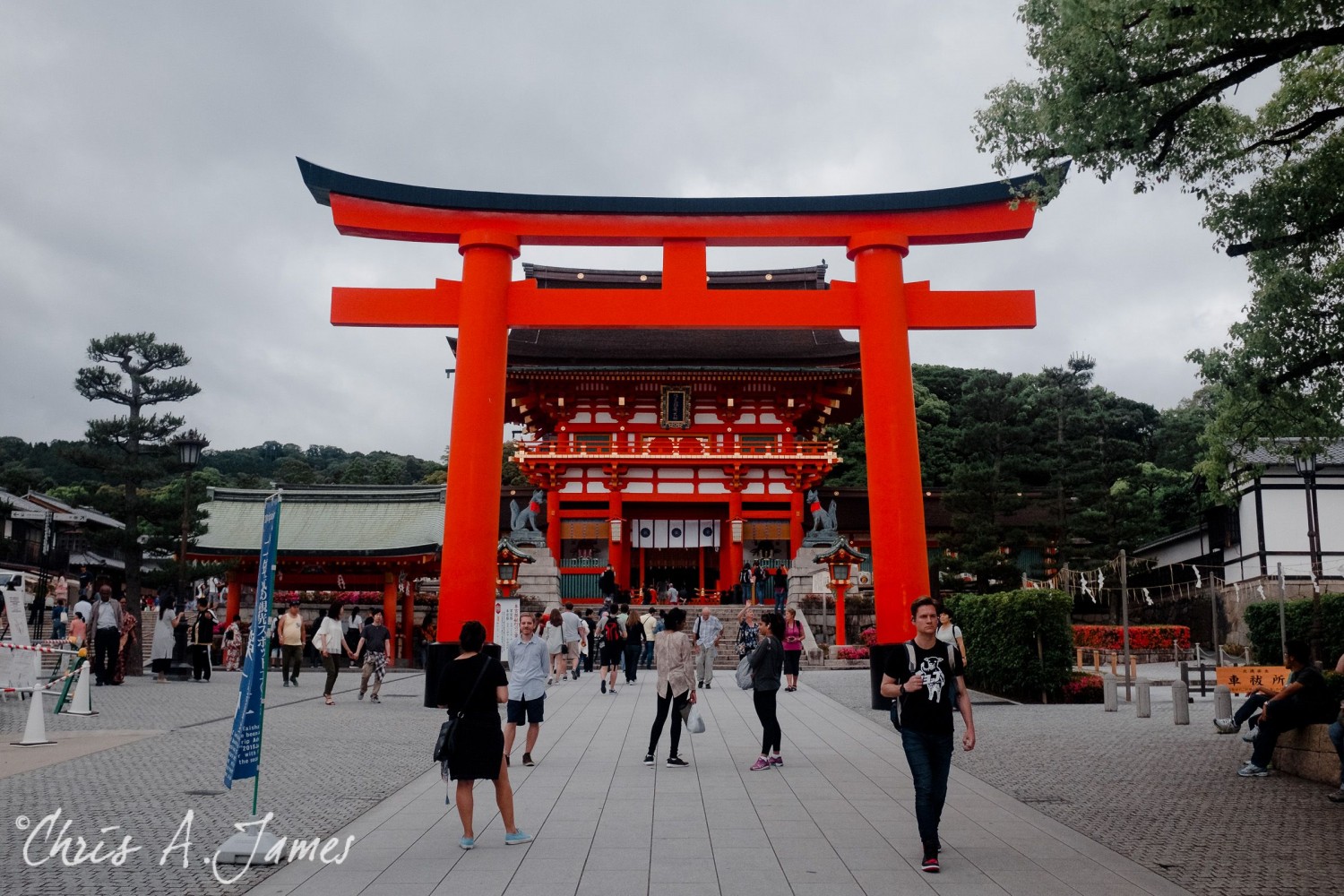 Fushimi Inari Shrine - Chris A James