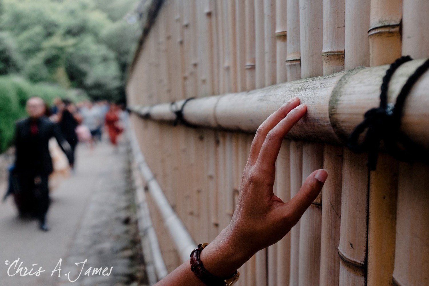 Fushimi Inari Shrine - Chris A James