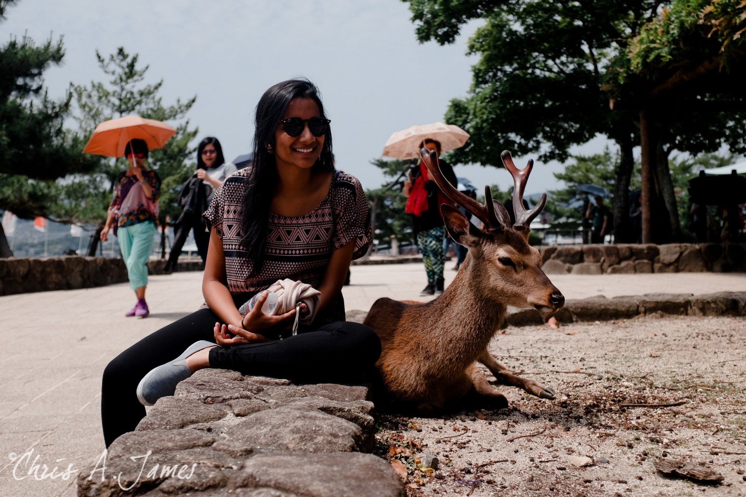 Hiroshima - Chris A James