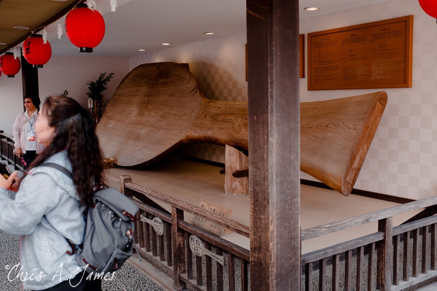 Hiroshima - Chris A James