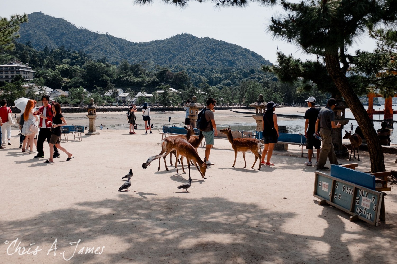 Hiroshima - Chris A James