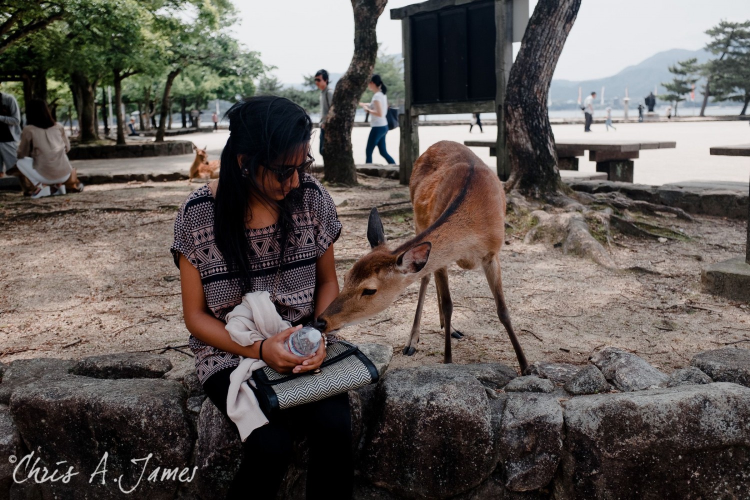 Hiroshima - Chris A James