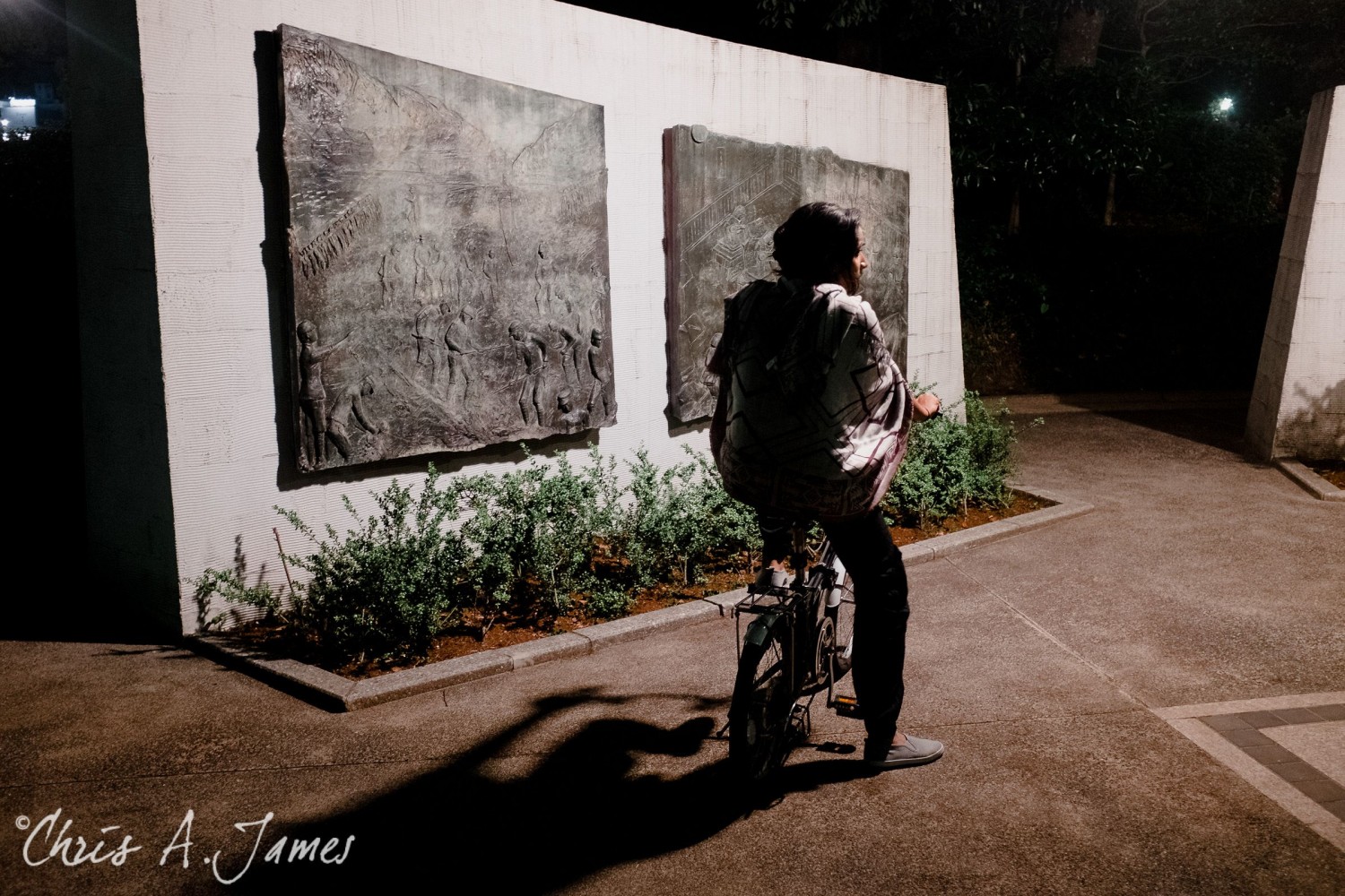 Hiroshima - Chris A James