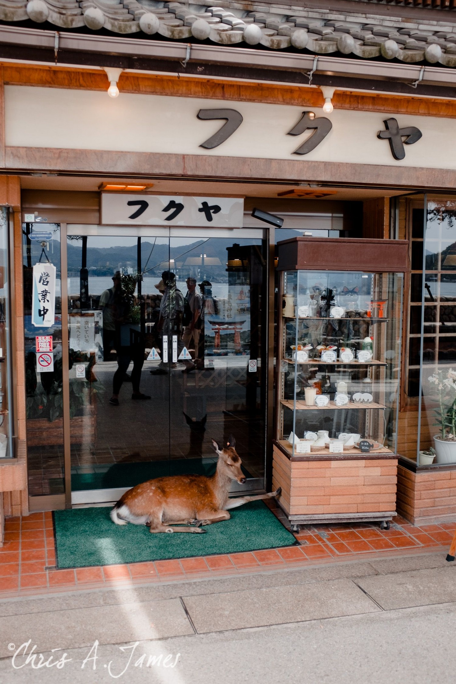 Hiroshima - Chris A James