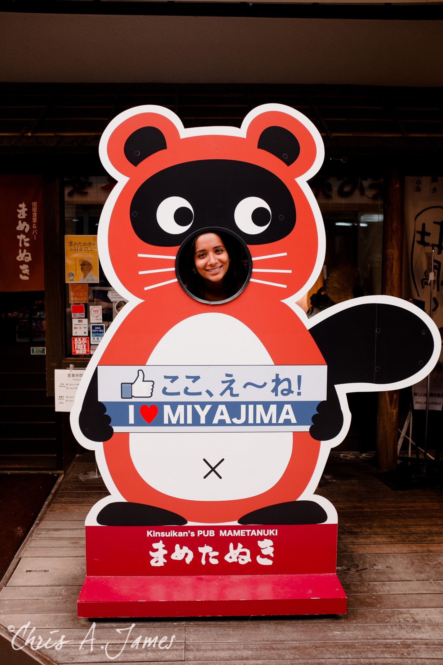 Hiroshima - Chris A James