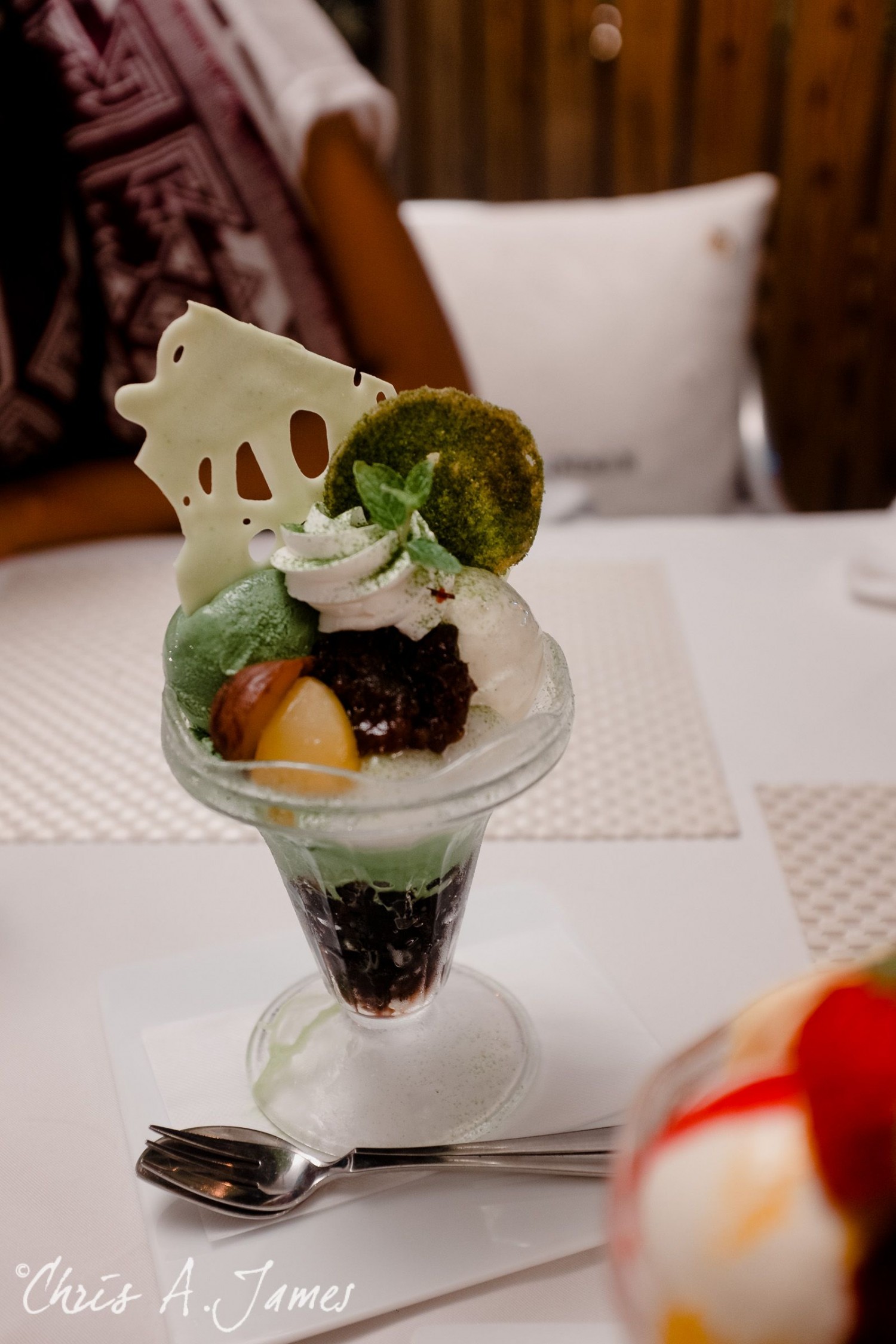 Hiroshima - Chris A James