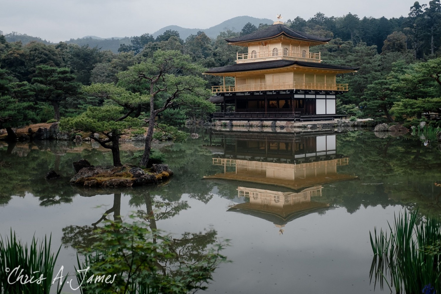 Kyoto - Chris A James